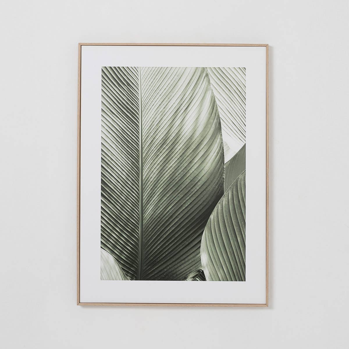 Set of 2 Printed Sheets 50X70Cm Green Leaf