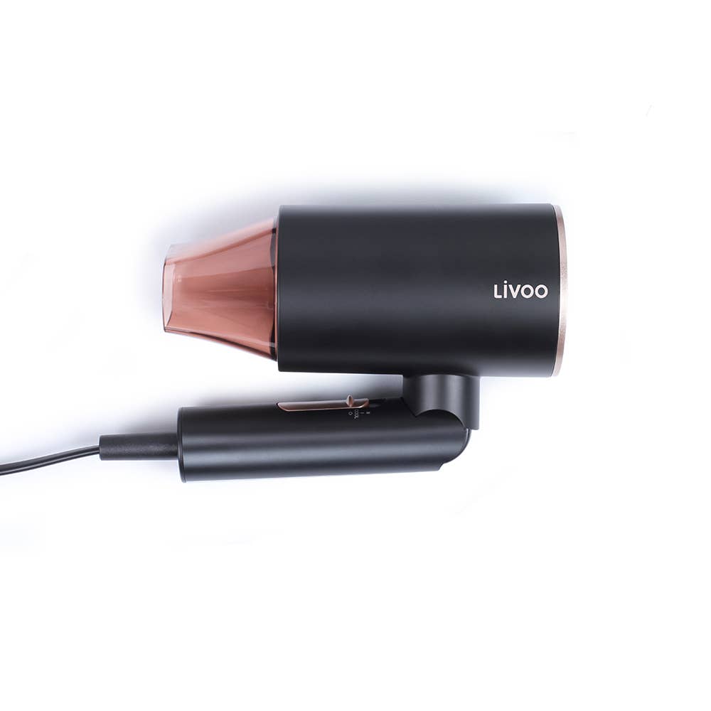 Ion Hair Dryer