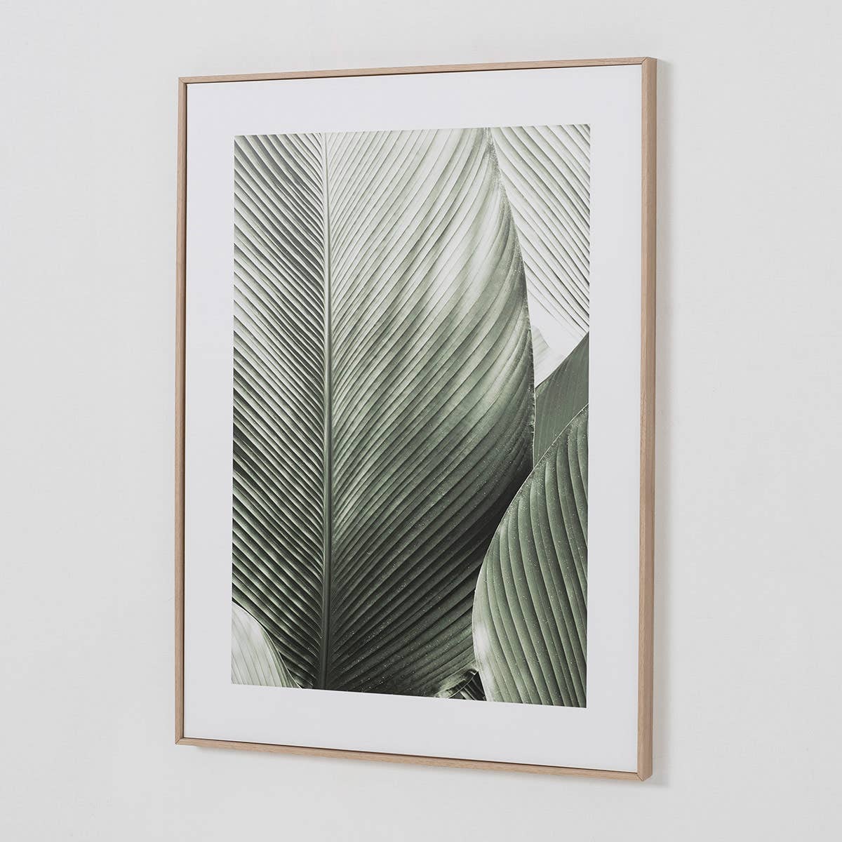Set of 2 Printed Sheets 50X70Cm Green Leaf