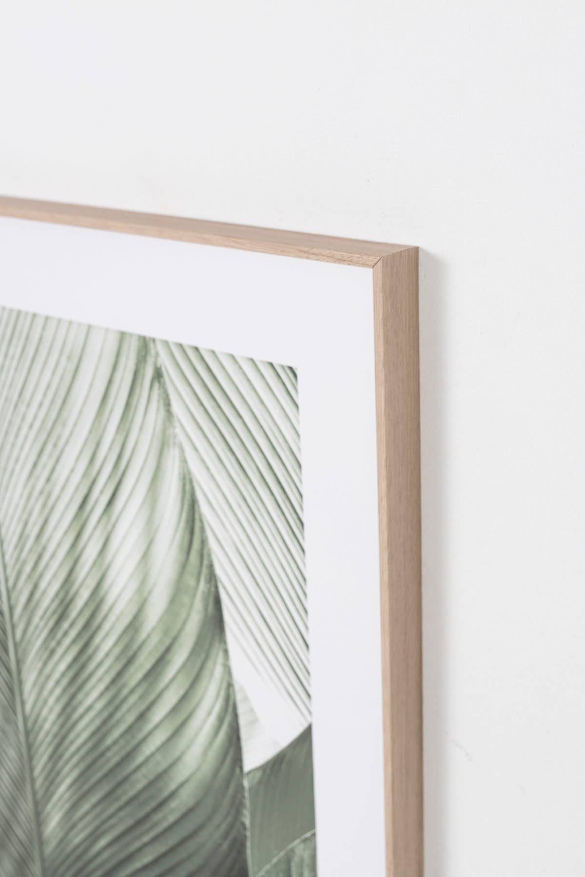 Set of 2 Printed Sheets 50X70Cm Green Leaf