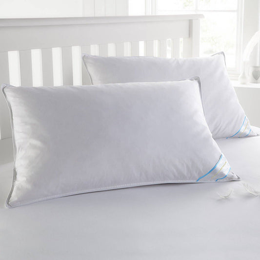 Beauty Sleep 2 Pack Feather Cotton Pillow Set | King Size