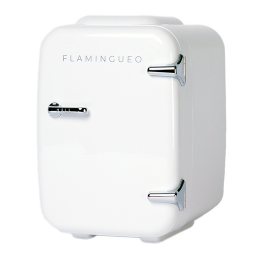 Mini Fridge Portable Retro White 4L with European Pl